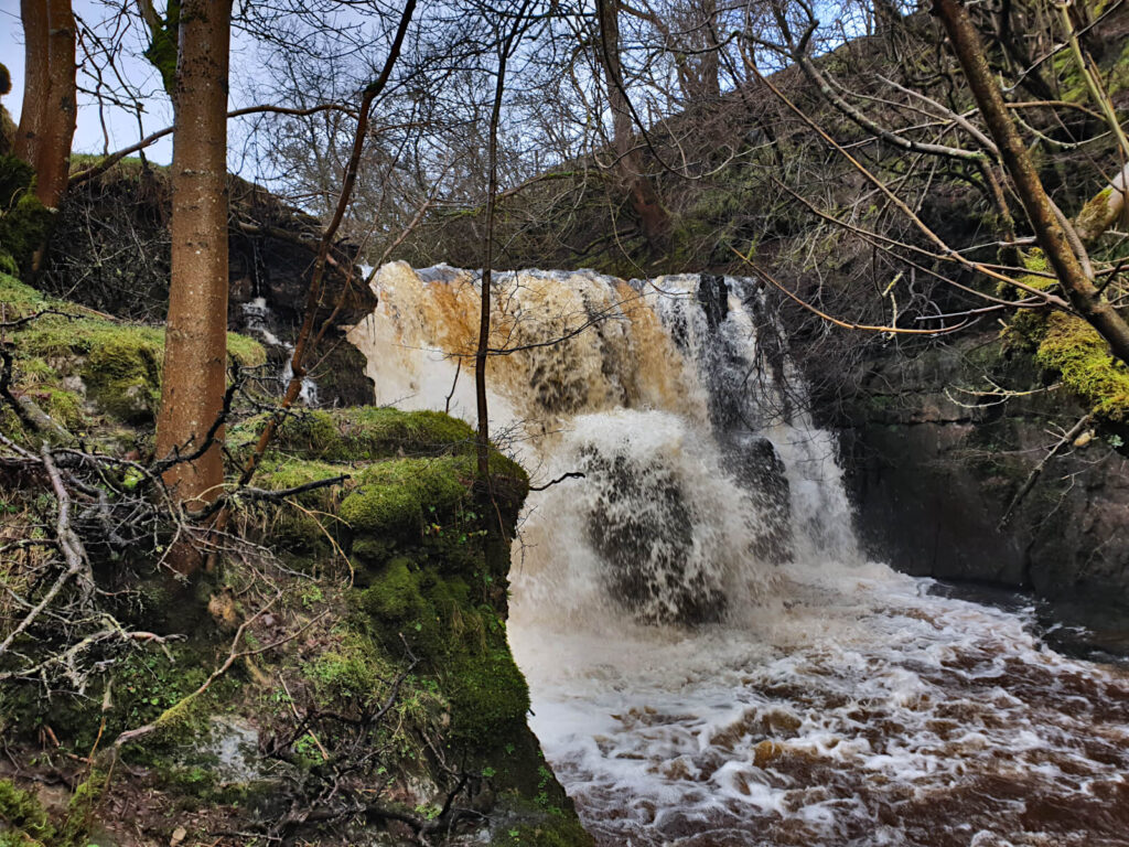 Currack Force is hidden behind a lot of trees and bushes. A stunning Yorkshire Dales waterfall nevertheless!