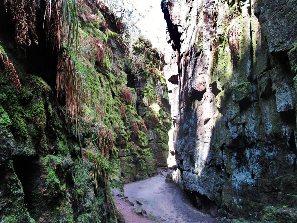 Like a scene from an alien planet - the tall, green, rocky walls add to the charm of the chasm. Walking through this feels other-worldly but also very thrilling!