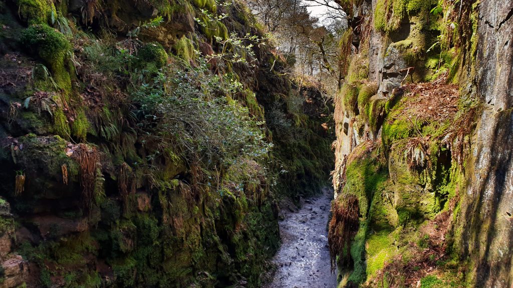 Wet, cool and humid inside the green corridors of Lud's Church - an enticing and mystical walk