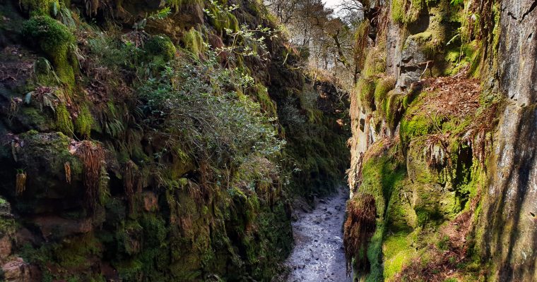 Lud’s Church Walk: Pick from 3 Countryside Routes