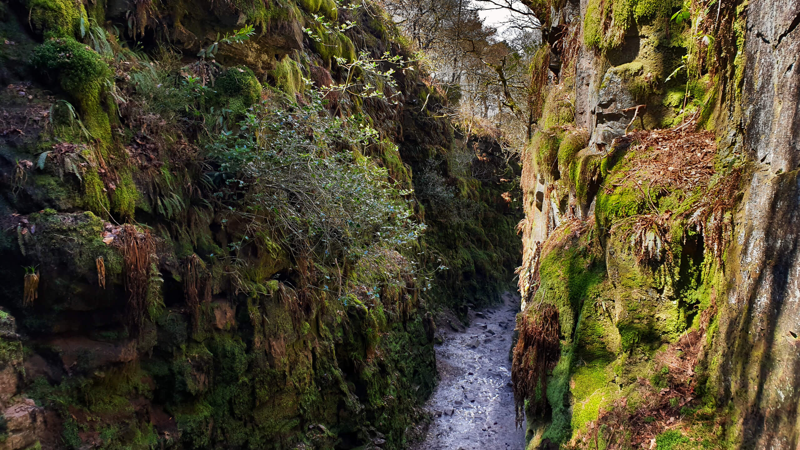 Lud’s Church Walk (For An Other-Worldly Experience!)
