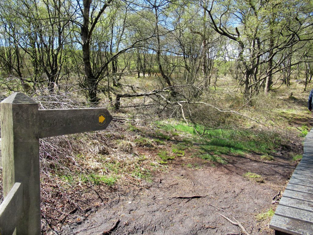 As you near Lud's Church the path becomes planked and there are signs pointing you in the right direction throughout the woodland. By now, this Lud's Church walk is almost half complete and you are coming up to the chasm.