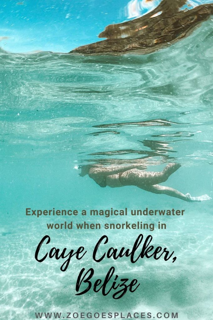 Experience a magical underwater world when snorkeling in Caye Caulker Belize. Swim with sharks, stingrays, sea turtles, fish and more!