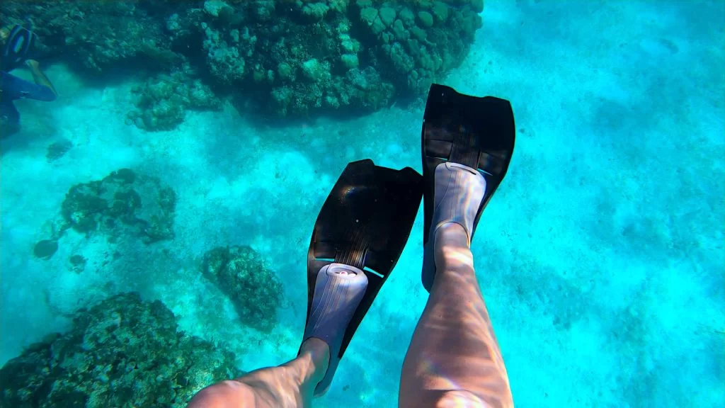 Looking down at the seabed with two legs and two fins in the foreground