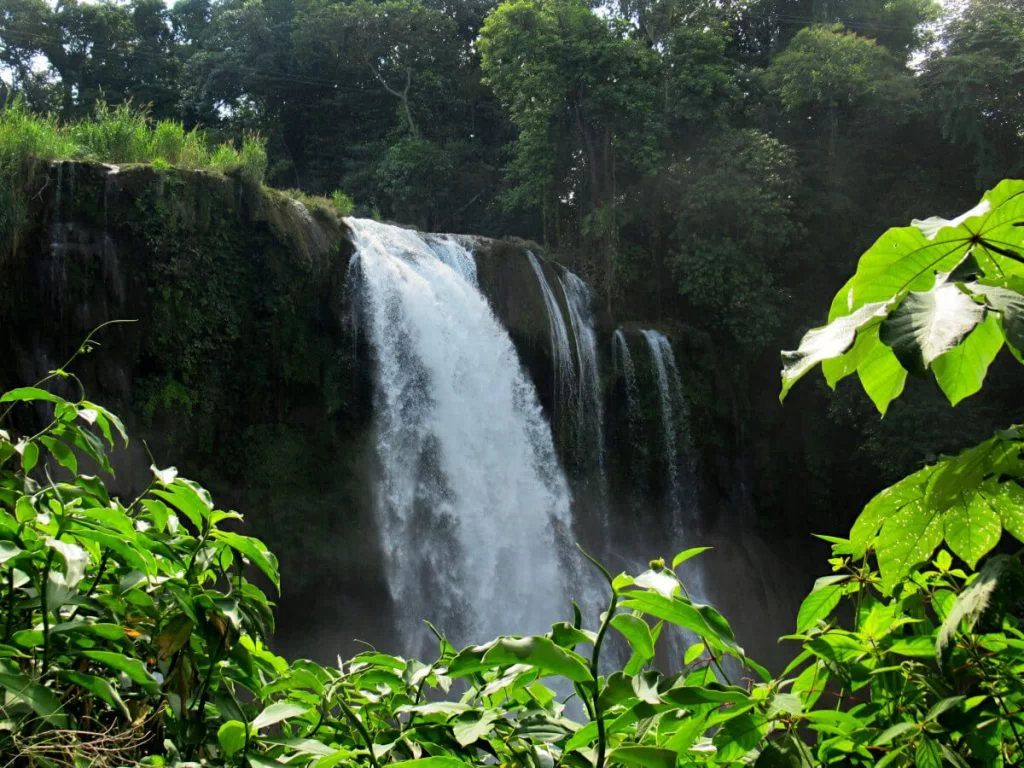 Looking through the bushes at the main waterfall at Pulhapanzak