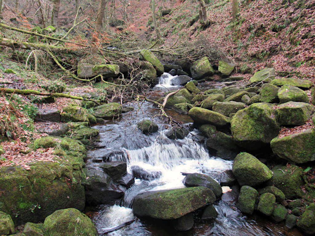 The small Burbage Brook flowing north to south through Padley Gorge