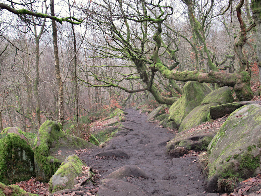 The Padley Gorge trail leading through the woodland to the open moorland. Large rocks and bare trees line the path on both sides