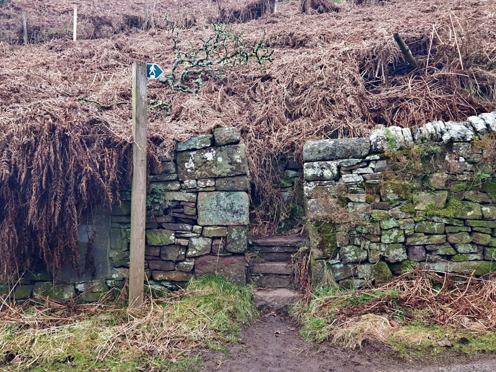 The start of the path to the waterfalls near to Gradbach Car Park