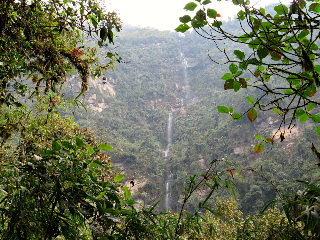 Looking over at La Chorrera waterfall between the trees