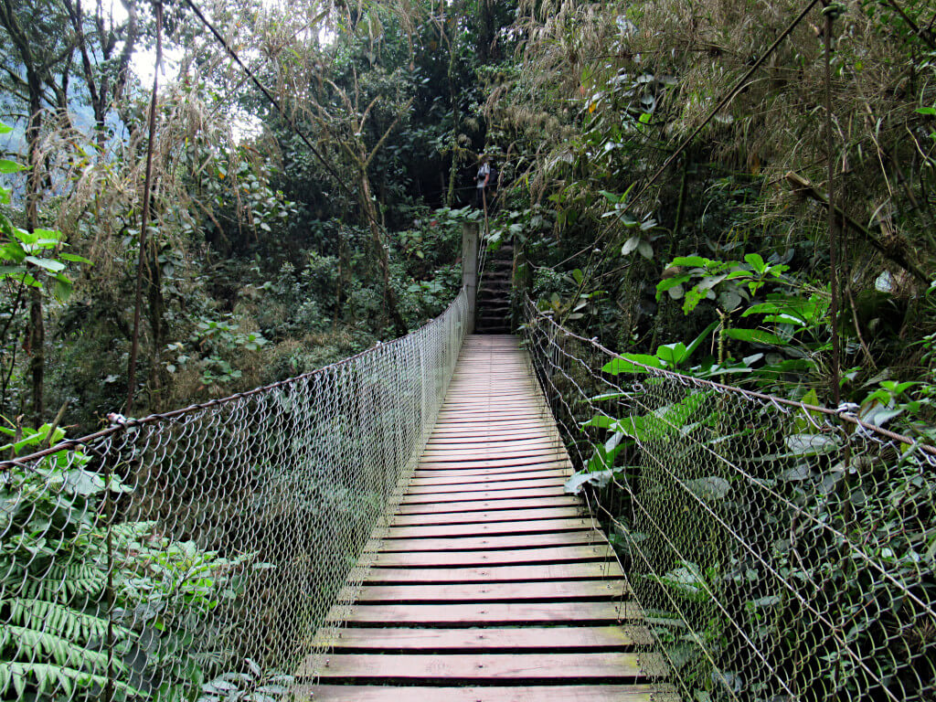 Wooden suspension bridge on the return path from Cascada La Chorrera