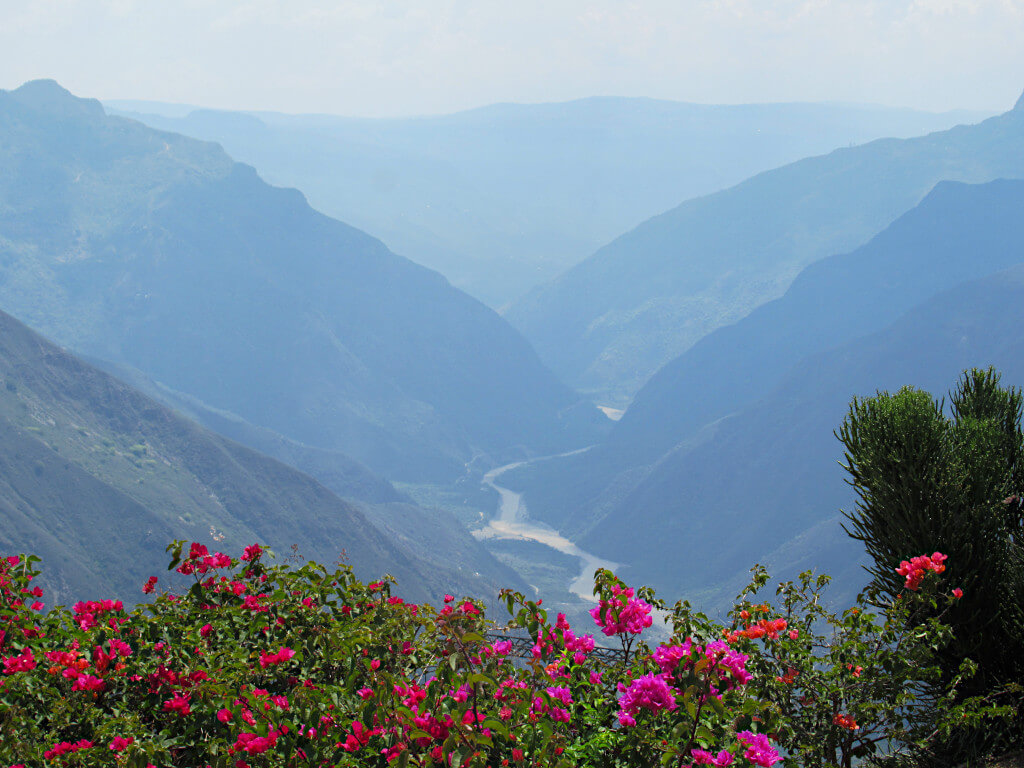 The beautiful Chicamocha canyon with a foreground of red and pink flowers