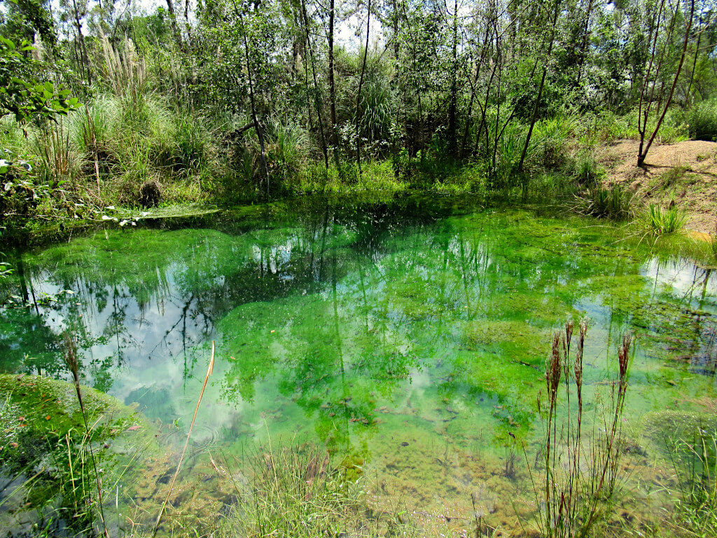 The clearest water of all the pozos azules in Villa de Leyva