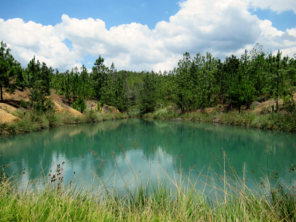 One of the pozas azules surrounded by trees