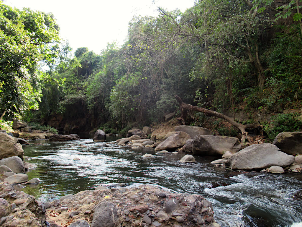 The river a few hundred metres downstream from Salto de Malacatiupan. There are lots of rocks in the river surrounded by overhanging trees