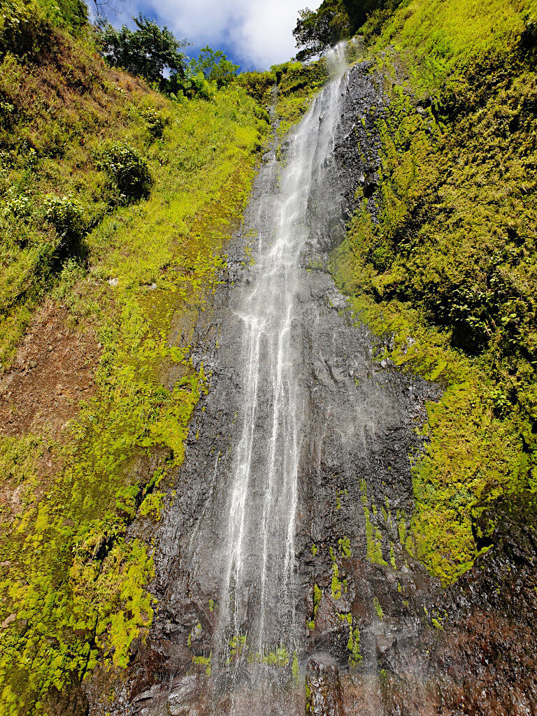 Looking up at San Ramon Waterfall after the long hike up the side of Volcano Maderas. The waterfall is a slim stream of water over an exposed area of rock, with bright green moss on either side