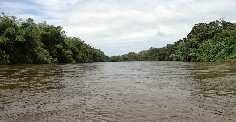 Tubing in Palomino, on the Palomino River, is an absolute must-do activity. Be surrounded by nature for a couple of hours as you gently bob down the river