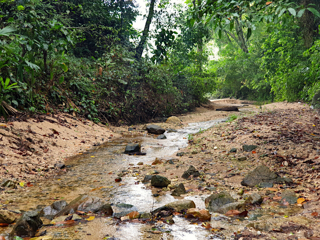 The first small stream that joins the river