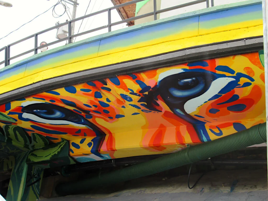 Street art on the underside of the viaduct showing two tiger eyes and the ridge of a nose