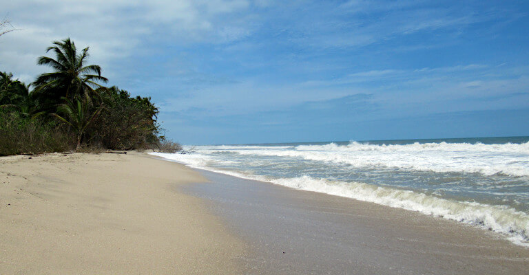 Palomino Beach in Palomino, Colombia. Palm tree-lined with golden sand