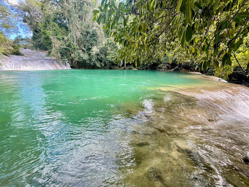 A large pool at Cascada Roberto Barrios near Palenque, Chiapas. The water flows gently off to the side of the image and the water is surrounded by trees
