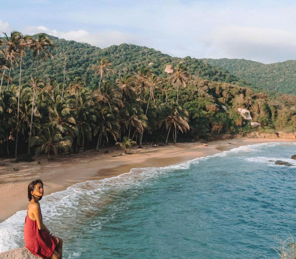 Pristine beaches in the Tayrona National Park lined with palm trees