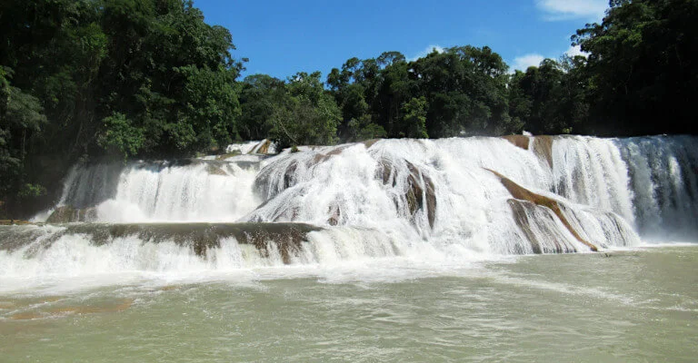 Agua Azul might be the most stunning of the Palenque Waterfalls in dry season, when the water is a vibrant colour