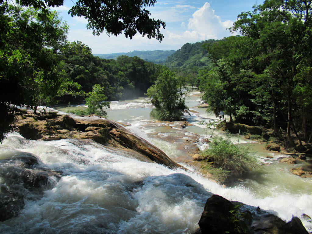 View from the top of Agua Azul, formed of lots of small pools 