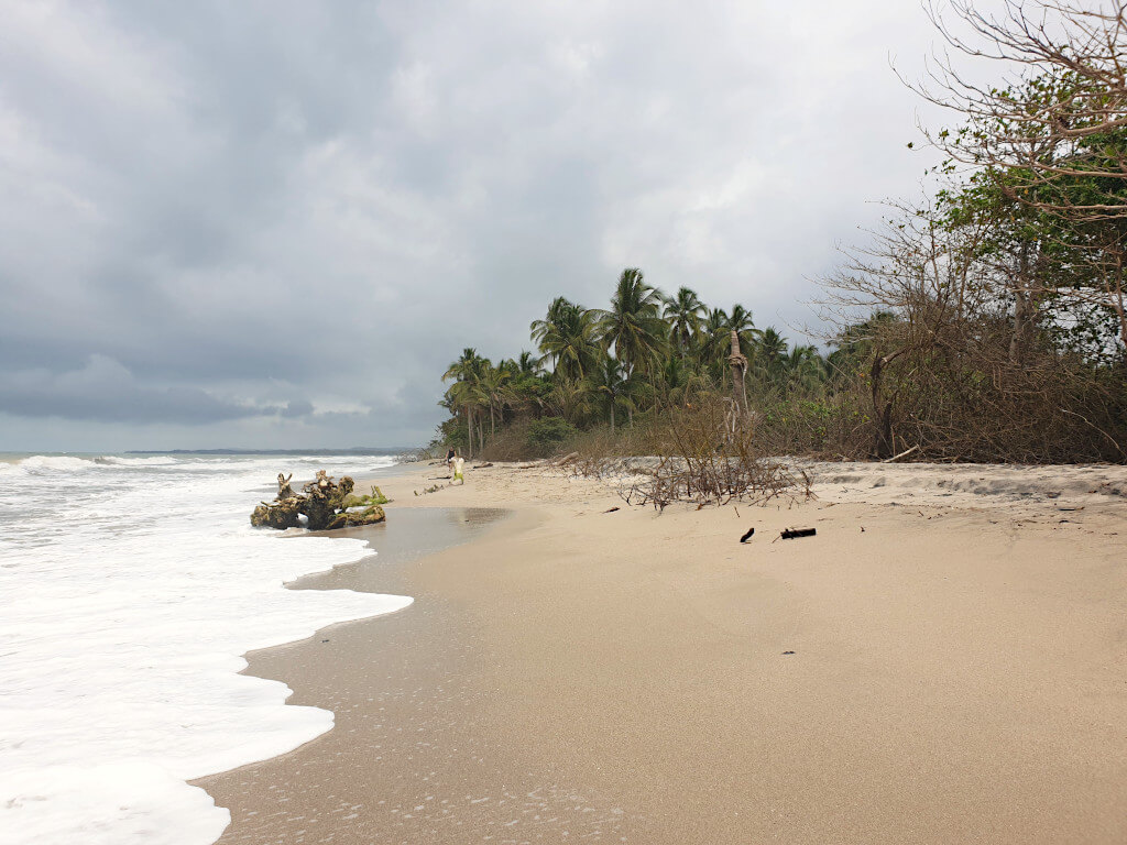 This narrow but long beach in Palomino Santa Marta is sometimes on the wild side with fallen trees and branches