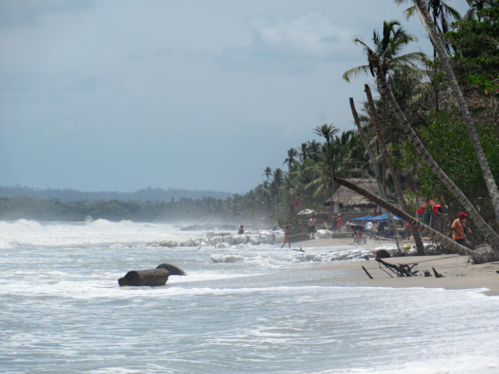 Looking east along Playa Palomino with palm trees and beachgoers