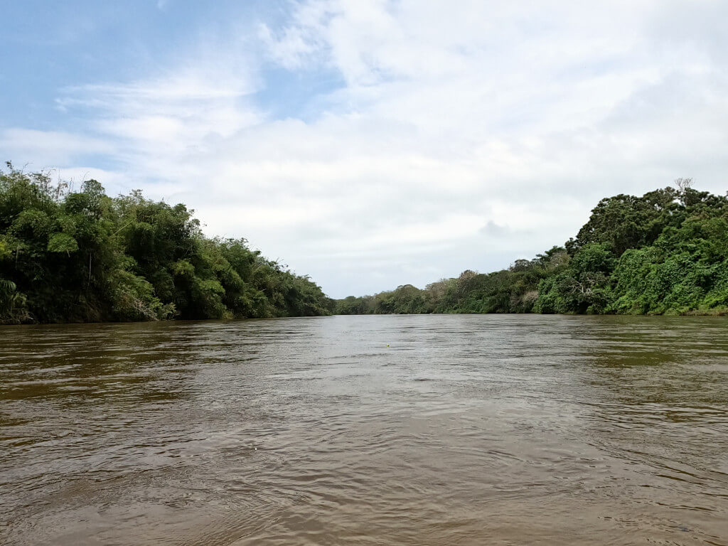 The river palomino, perfect for tubing on the cold water surrounded by lush green trees
