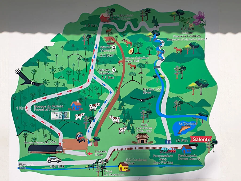 The easy to follow hiking trail in the Cocora Valley