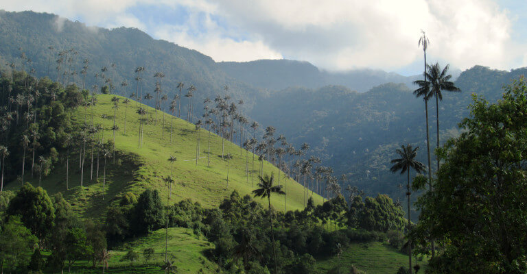 Salento, Colombia: A popular town with backpackers and domestic tourists for its colourful streets and impressive Cocora Valley