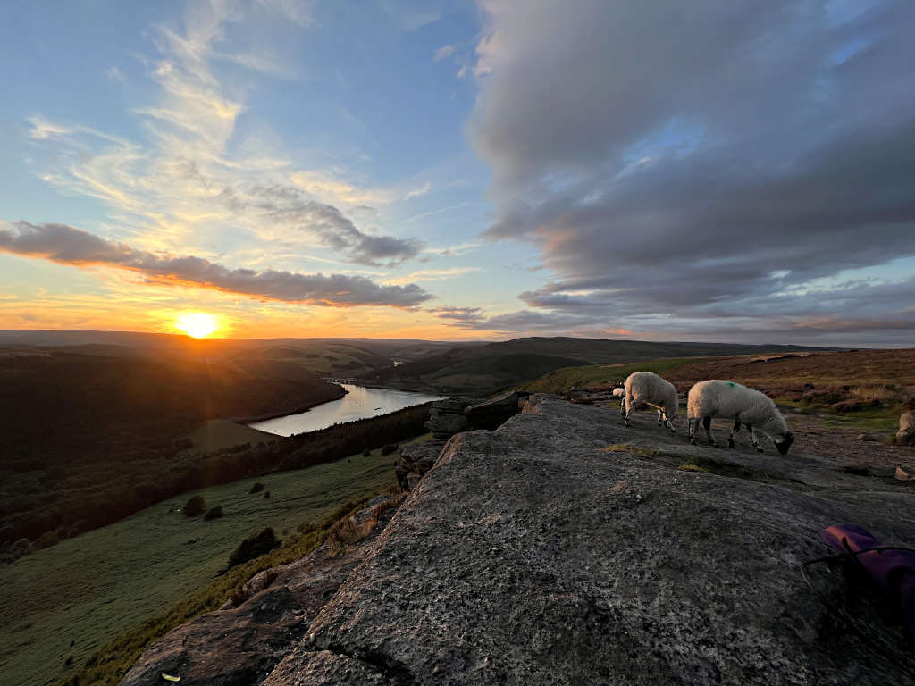 Looking over Ladybower Reservoir from Bamford Edge at sunset with two sheep on the rock edge