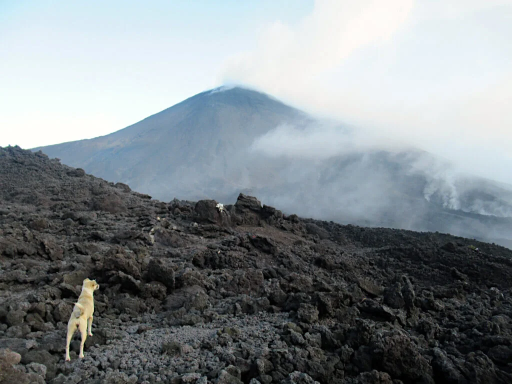 Steam rises from the hot volcanic rocks on Volcano Pacaya