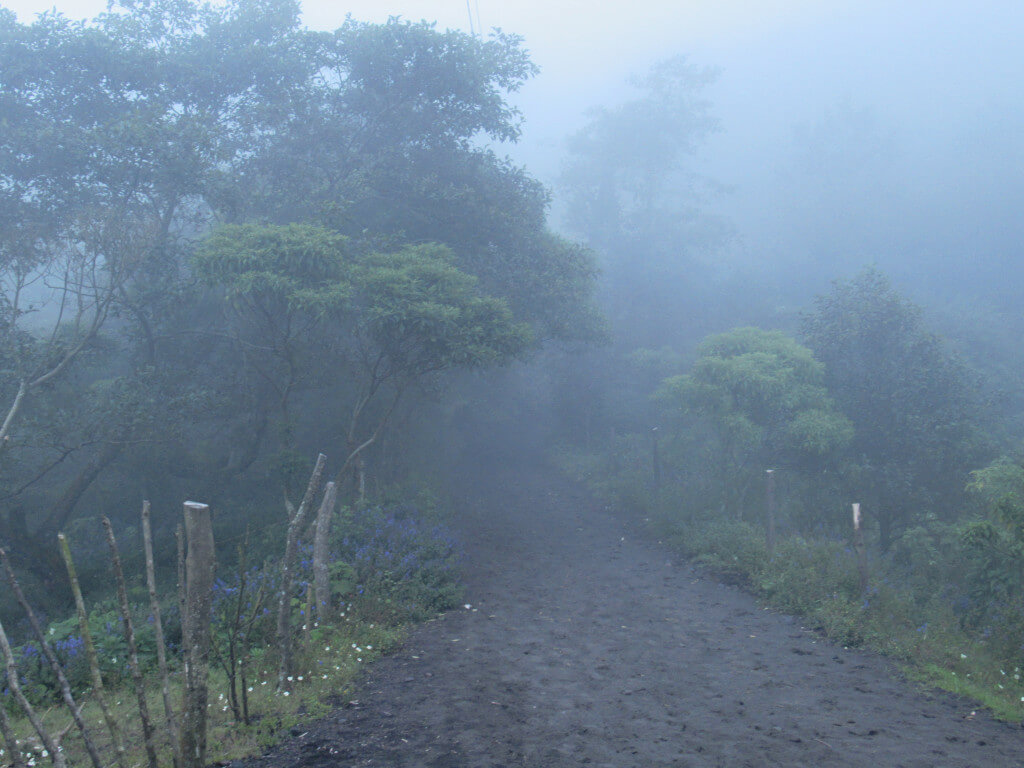 A volcanic black dirt path leads into the clouds on the ascent to Volcan Pacaya