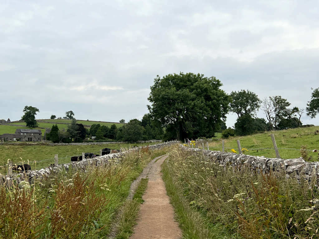 Looking towards Wetton on the footpath from the village to Thor's Cave between two fields