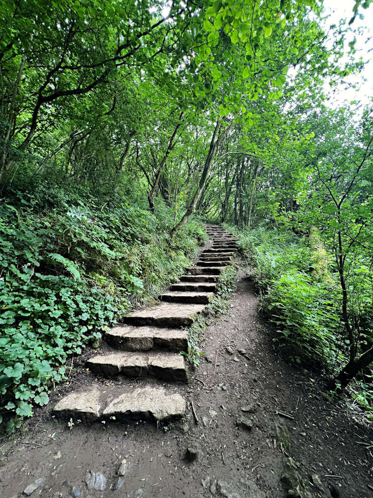 The stairs to Thors Cave from the Manifold Valley