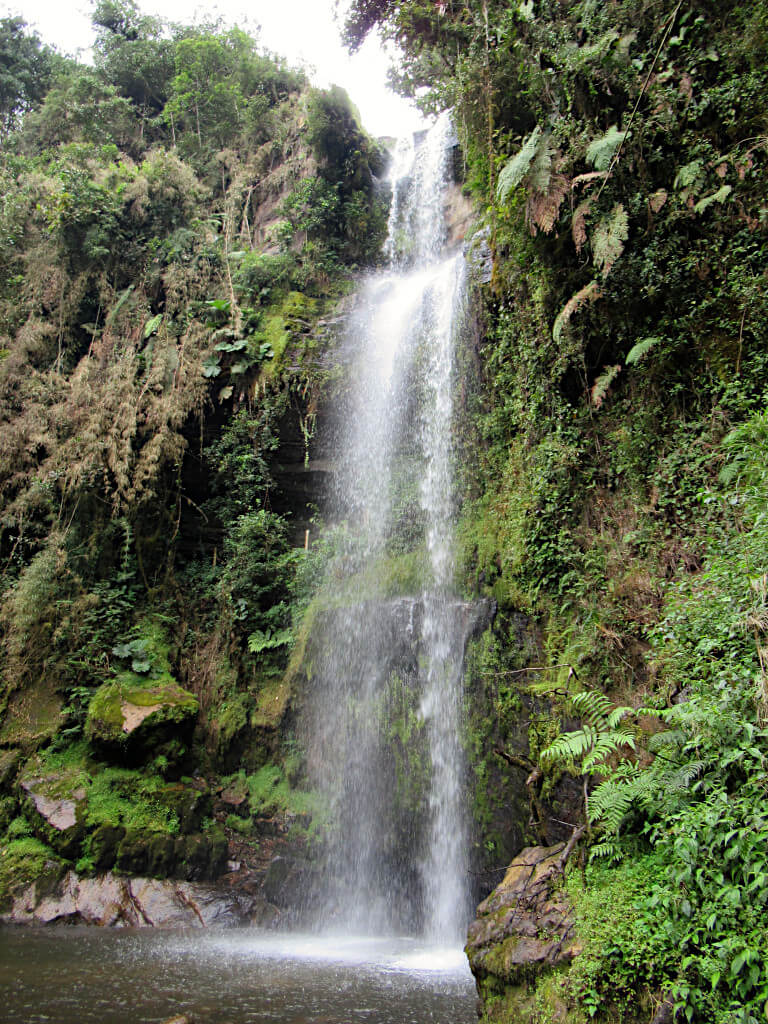 El Chiflon waterfall is located next to La Chorrera waterfall, here you can walk behind the powerful waterfall and hear the deafening noise of the water