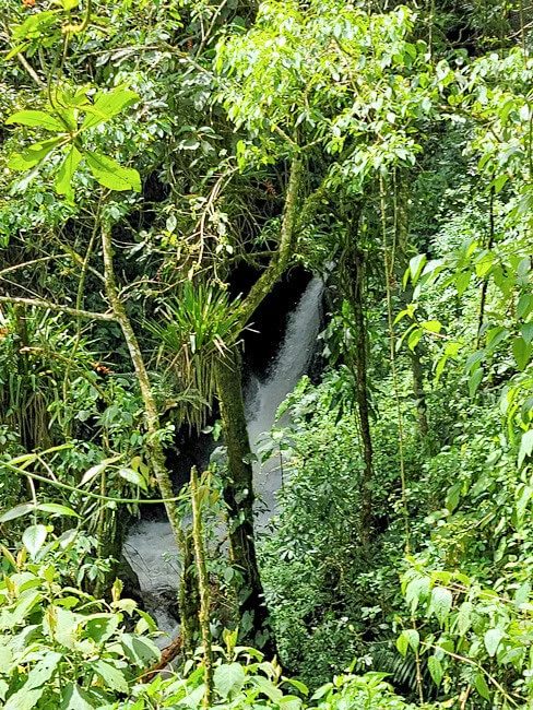 The Cocora Valley, famed for its tall palm trees, is also home to a handful of waterfalls. This one is hidden amongst the trees making it hard to get a good look