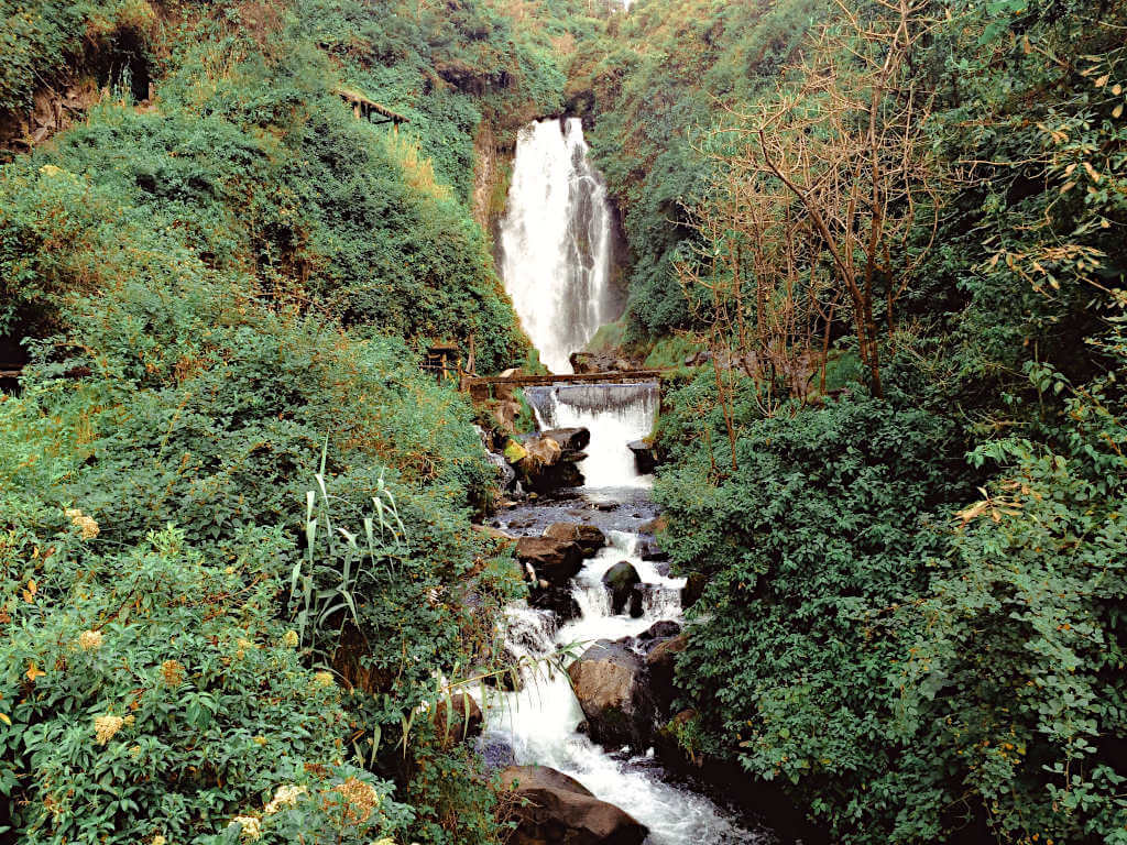 On the Lost City Trek you'll cross the river through the Sierra Nevada National Park many times and along the river you'll find waterfalls deep in the jungle
