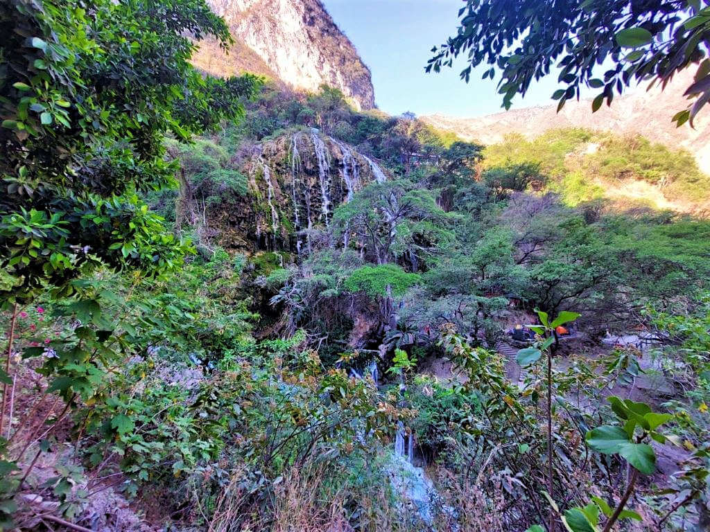 Amongst the trees and bushes the narrow streams of the Grutas Tolantongo Waterfalls are visible
