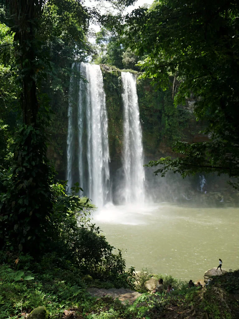 Looking through the trees towards Misol-Ha Waterfall in Palenque Chiapas, the water gathers in a large pool after the 35-metre drop