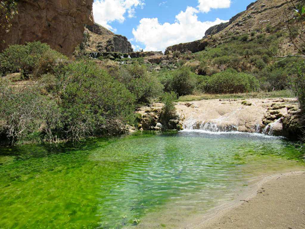A bright green pool and small waterfall located near the top of the lagoons