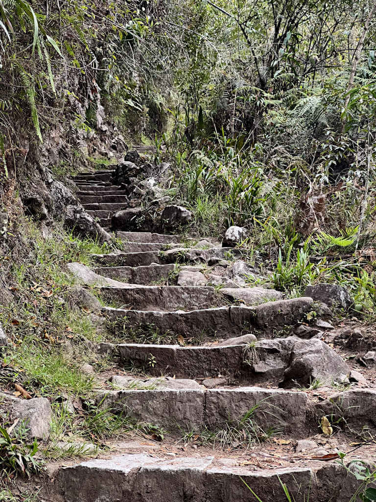 Some of the 1600 steps that take you from Aguas Calientes to Machu Picchu