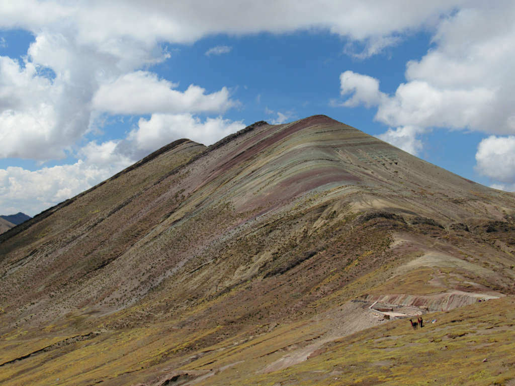 The vibrant rainbow mountain at Palccoyo with wild alpacas roaming