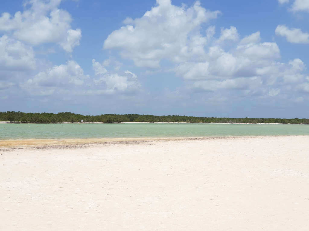 Looking inland at the tropical vegetation on Isla Holbox