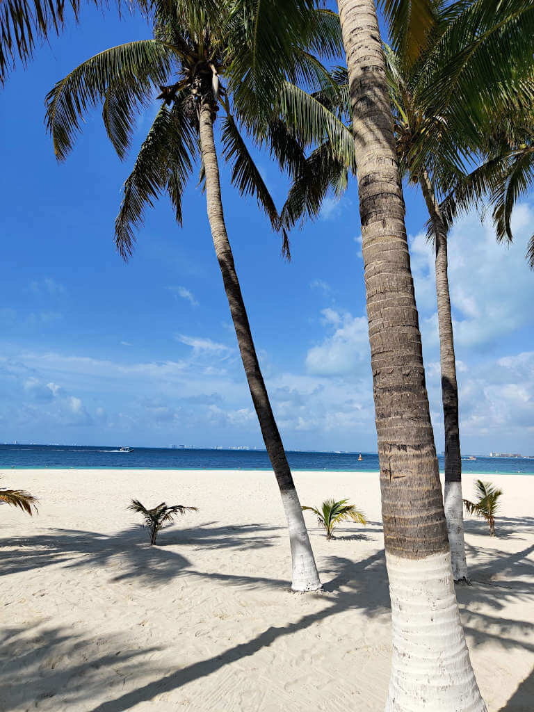 Is Tulum in Cancun? It can be hard to understand the differences when both have gold sand beaches and palm trees like these with a backdrop of the deep blue Caribbean Sea.