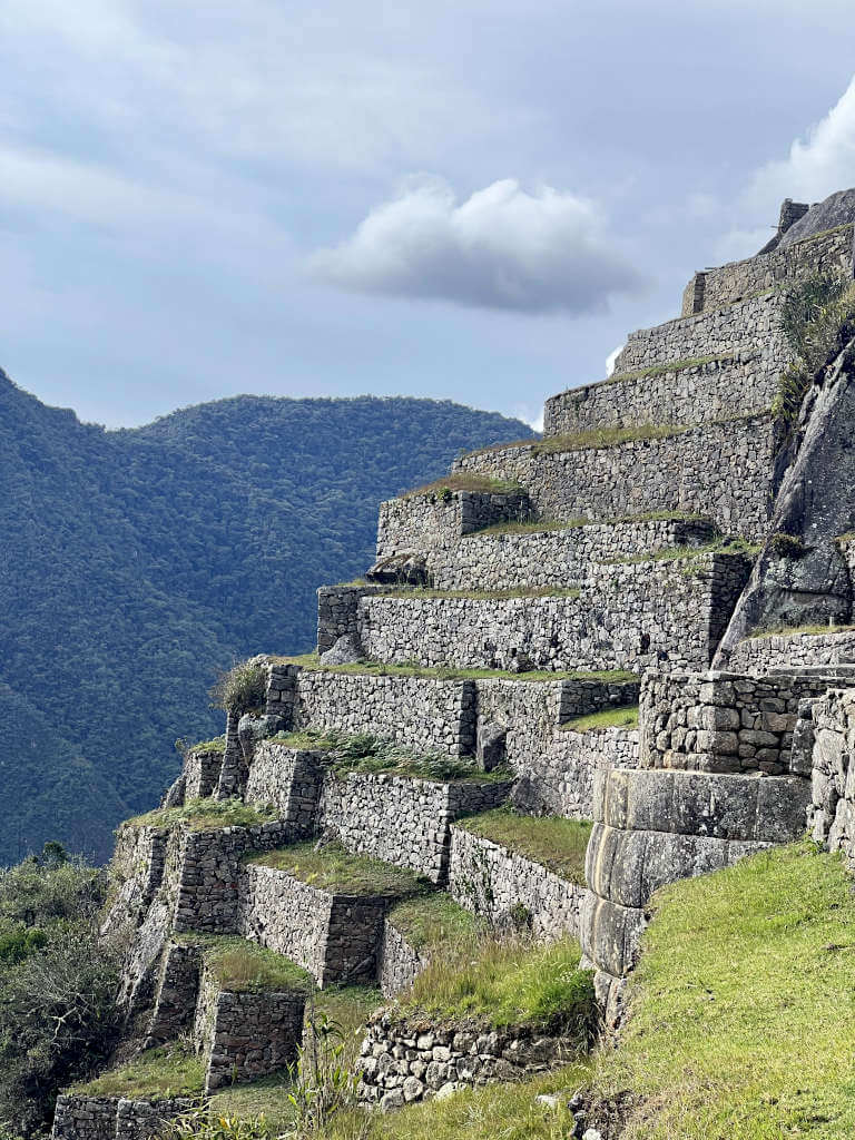 The stepped design of the agricultural zone of Machu Picchu