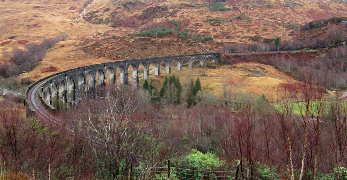 Glenfinnan Viaduct Viewpoint (Trains, Photos & Walk Guide)