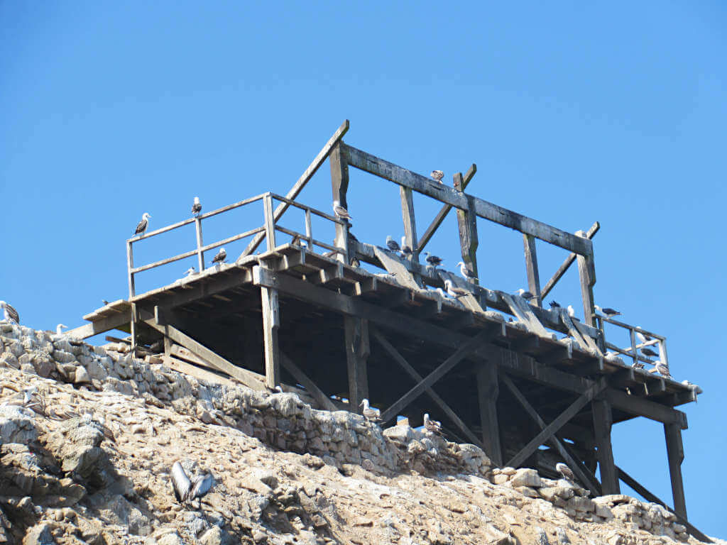 Birds sat on a wooden structure on the Islas Ballestas Paracas